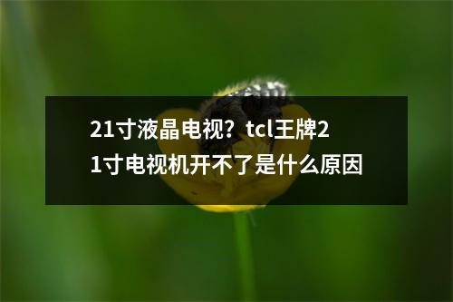 21寸液晶电视？tcl王牌21寸电视机开不了是什么原因