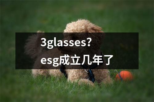 3glasses？esg成立几年了