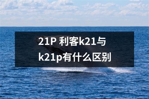 21P 利客k21与k21p有什么区别