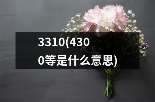 3310(4300等是什么意思)