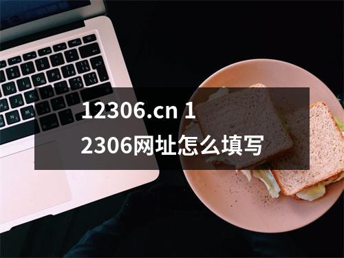12306.cn 12306网址怎么填写