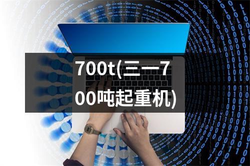 700t(三一700吨起重机)