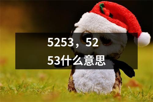 5253，5253什么意思