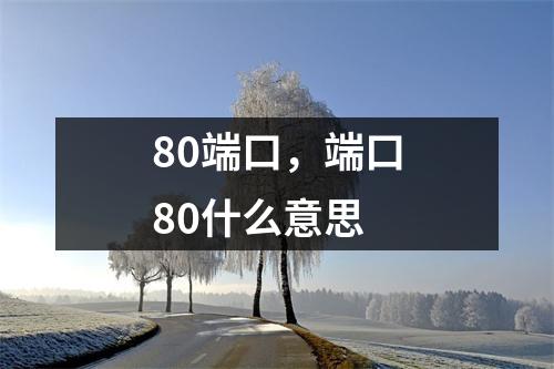 80端口，端口80什么意思