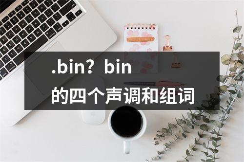 .bin？bin的四个声调和组词