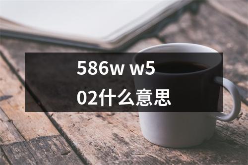 586w w502什么意思