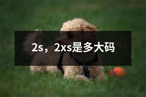 2s，2xs是多大码