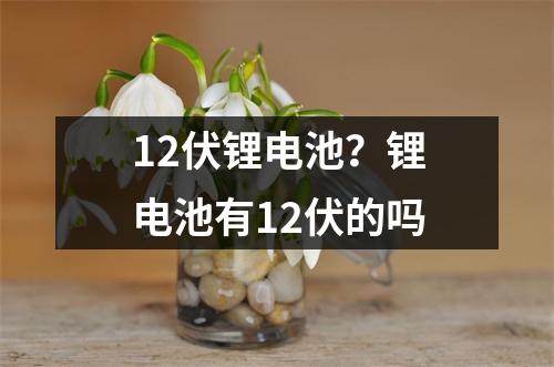 12伏锂电池？锂电池有12伏的吗