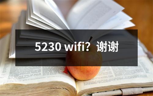 5230 wifi？谢谢