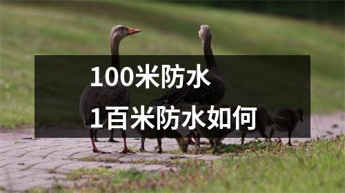 100米防水 1百米防水如何