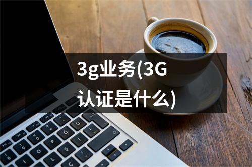 3g业务(3G认证是什么)