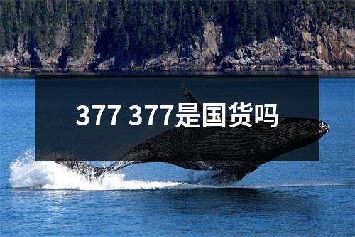 377 377是国货吗