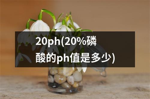20ph(20%磷酸的ph值是多少)