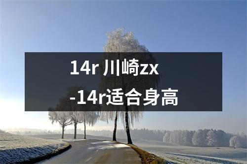 14r 川崎zx-14r适合身高