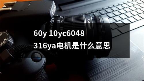 60y 10yc6048316ya电机是什么意思