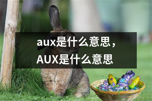 aux是什么意思，AUX是什么意思