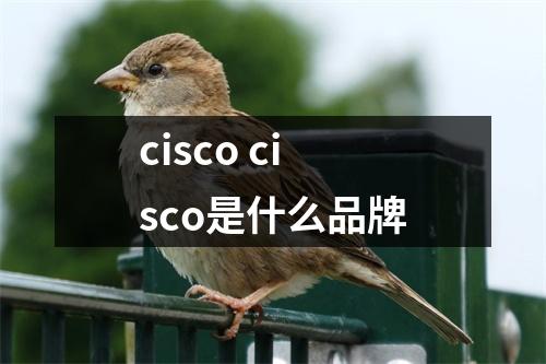 cisco cisco是什么品牌