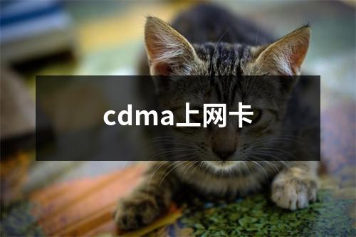 cdma上网卡