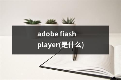 adobe fiash player(是什么)