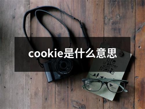 cookie是什么意思