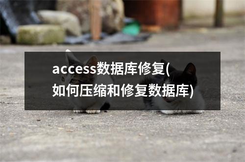 access数据库修复(如何压缩和修复数据库)