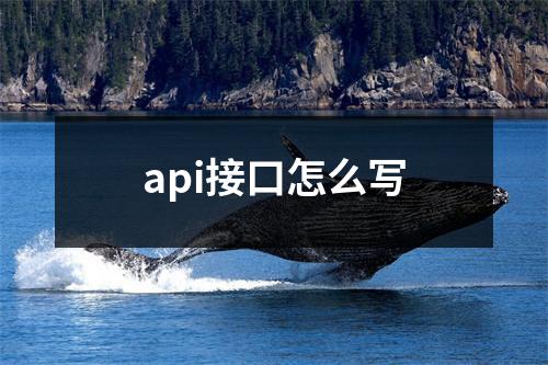 api接口怎么写