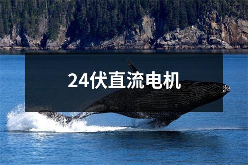 24伏直流电机