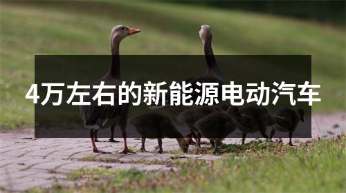 4万左右的新能源电动汽车
