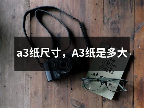 a3纸尺寸，A3纸是多大