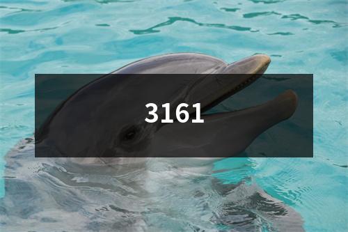 3161