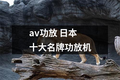 av功放 日本十大名牌功放机