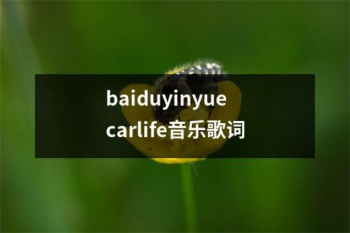 baiduyinyue carlife音乐歌词