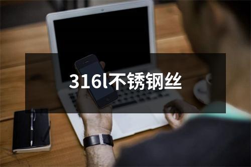 316l不锈钢丝