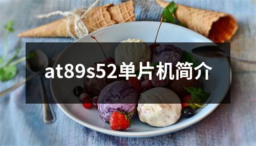 at89s52单片机简介