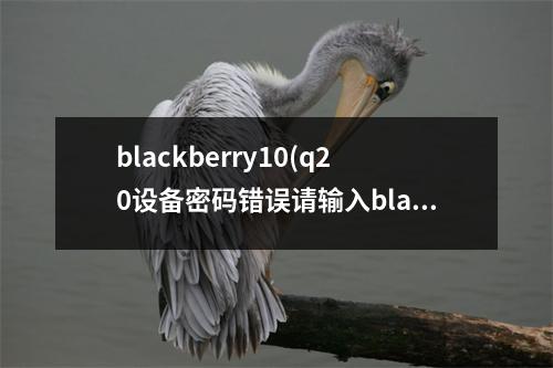 blackberry10(q20设备密码错误请输入blackberry)