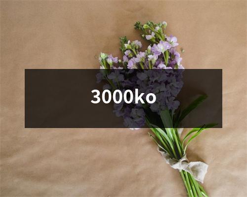 3000ko