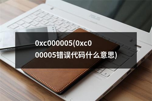 0xc000005(0xc000005错误代码什么意思)