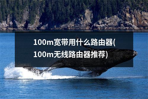 100m宽带用什么路由器(100m无线路由器推荐)