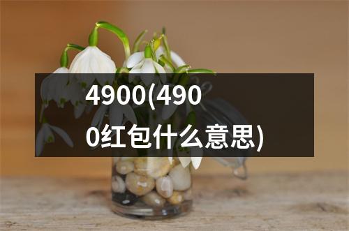 4900(4900红包什么意思)