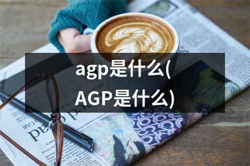 agp是什么(AGP是什么)