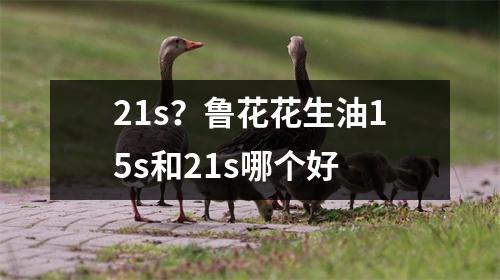 21s？鲁花花生油15s和21s哪个好