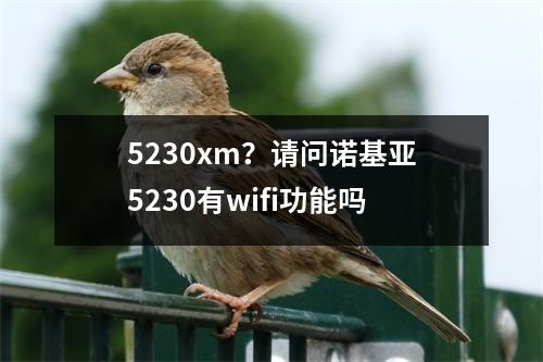 5230xm？请问诺基亚5230有wifi功能吗
