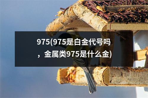 975(975是白金代号吗，金属类975是什么金)