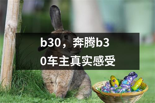 b30，奔腾b30车主真实感受