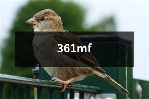 361mf