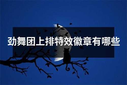 劲舞团上排特效徽章有哪些