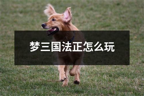 梦三国法正怎么玩