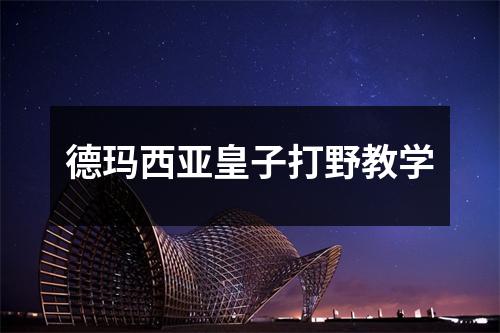 德玛西亚皇子打野教学