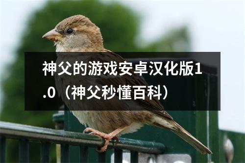 神父的游戏安卓汉化版1.0（神父秒懂百科）