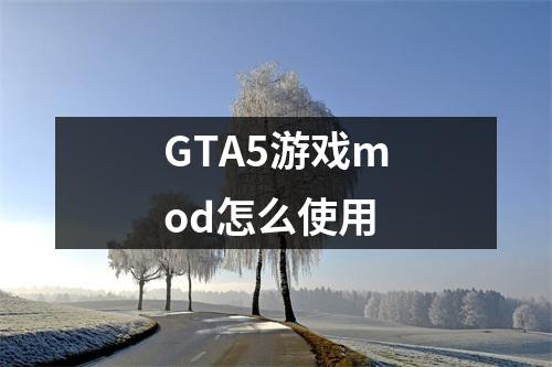 GTA5游戏mod怎么使用